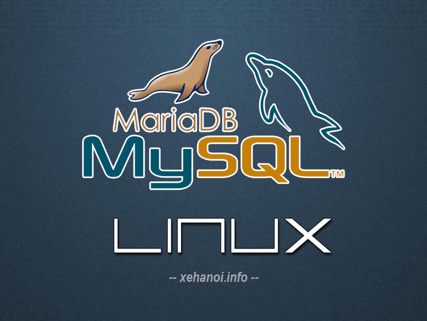MySQL và MariaDB các câu lệnh cần nhớ
