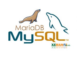 MariaDB và MySQL