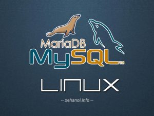 Các câu lệnh MySQL / Mariadb cơ bản cần nhớ