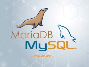 Hướng dẫn MySQL MariaDB